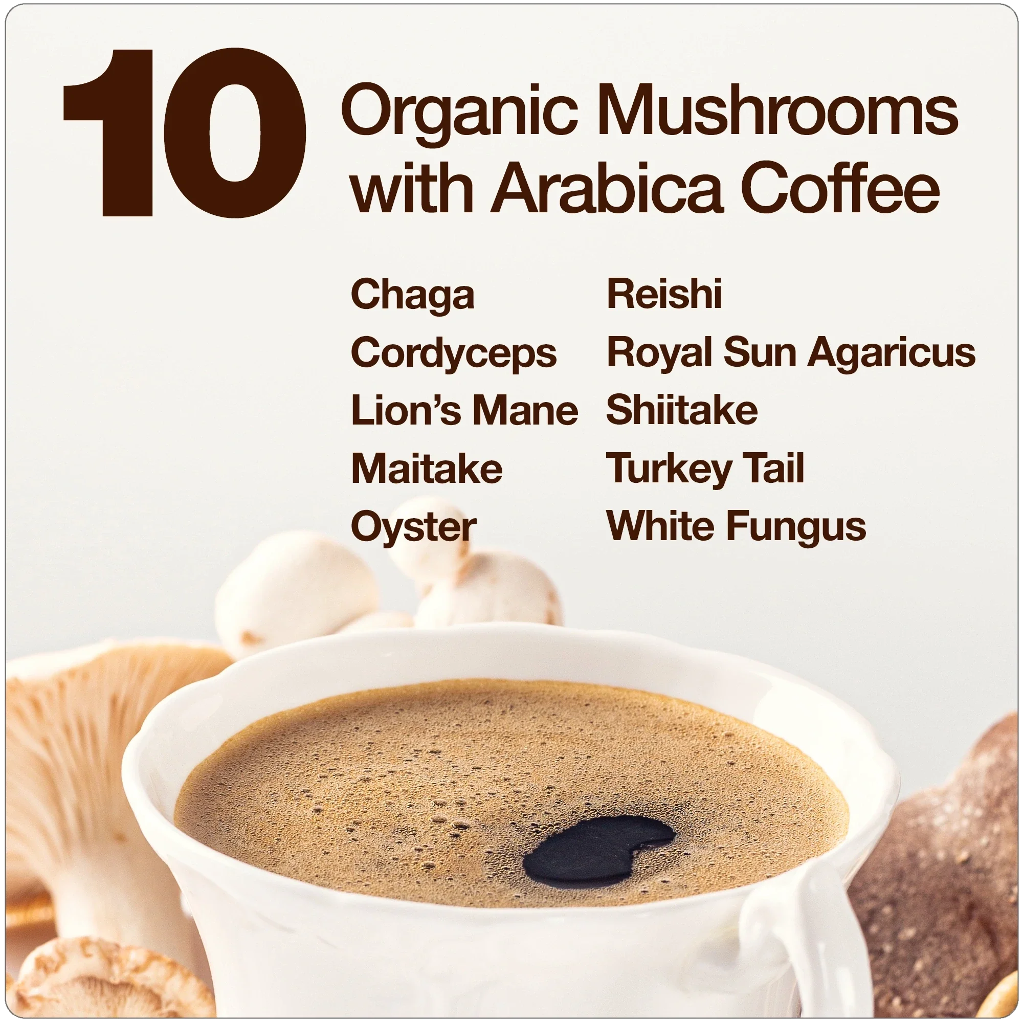 Mushroom Coffee - Image 3
